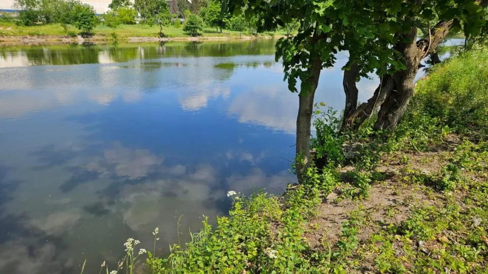 Фото: Министерство экологии и природопользования Московской области