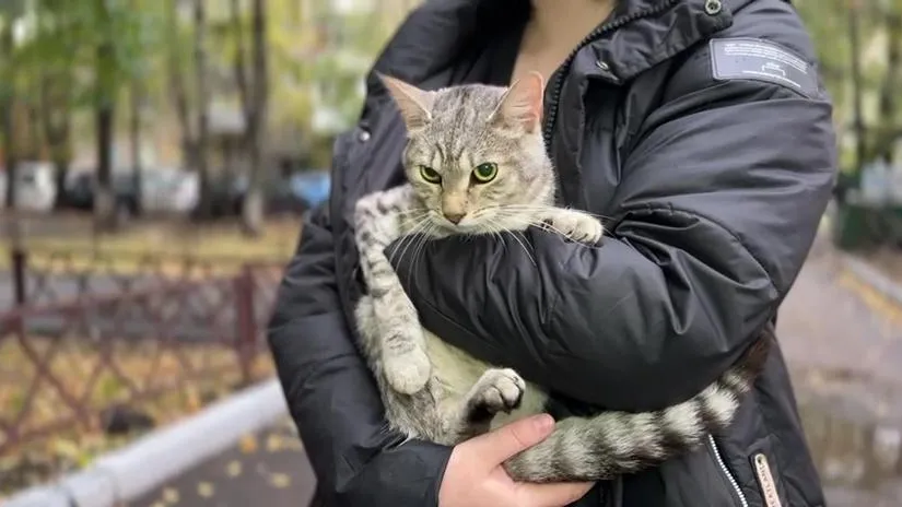 фото: Ксения Казакова