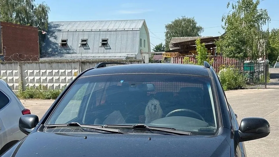 Фото: t.me/istrapodslushano