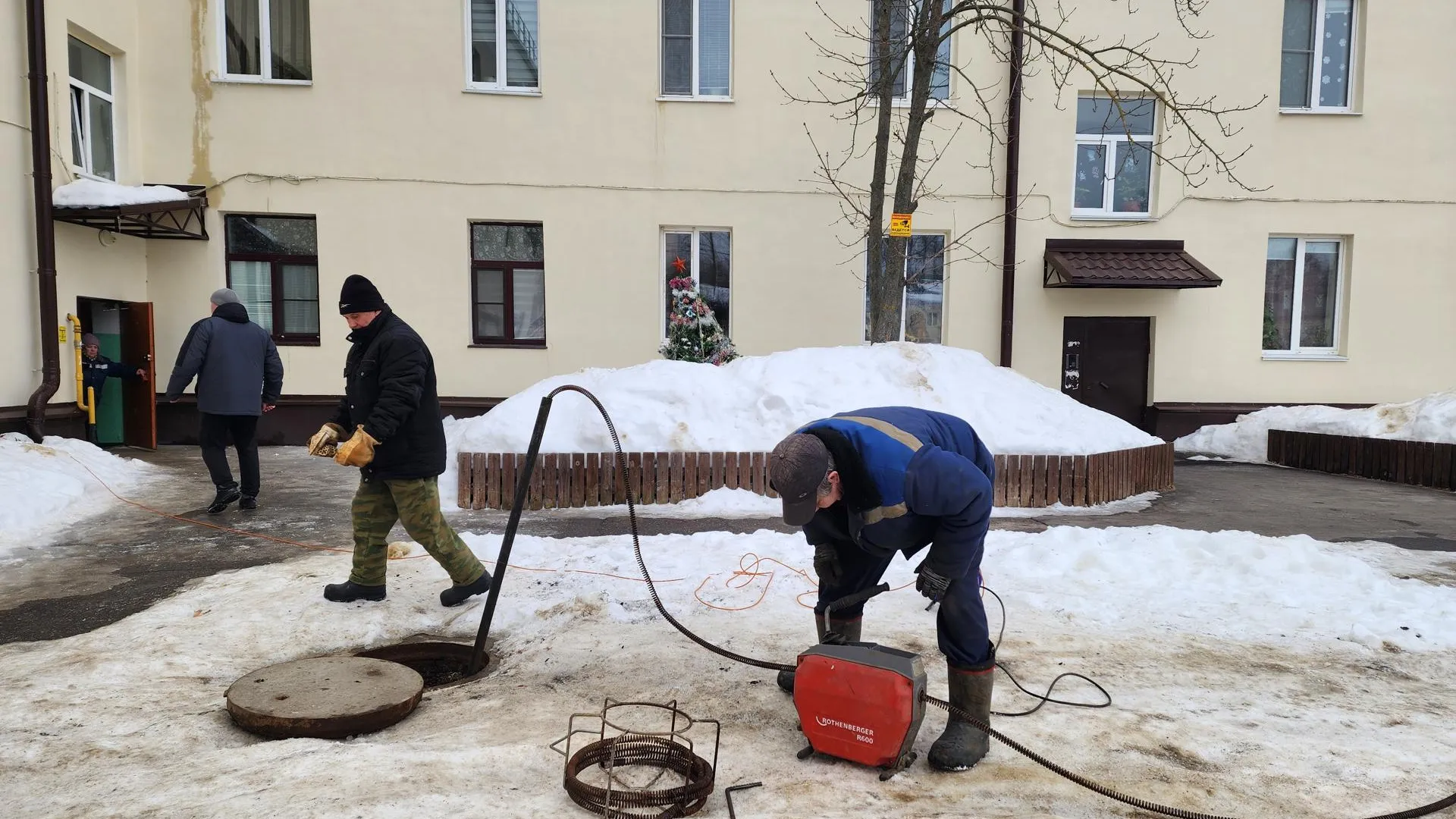 Светлана Плотникова