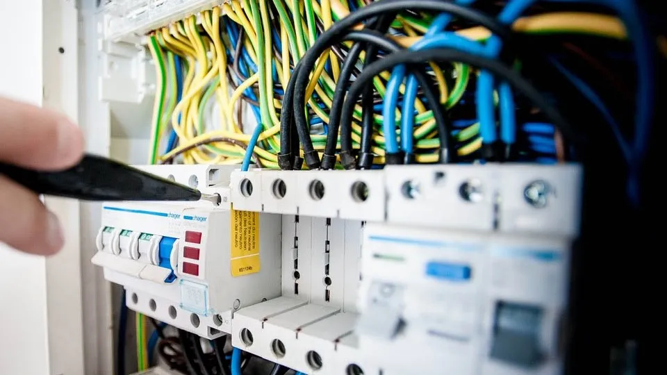 Фото: pxhere.com