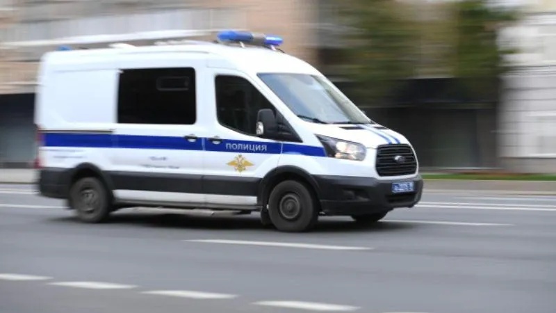 Светлана Шевченко
