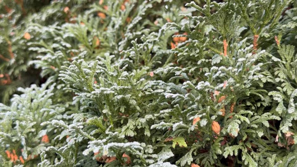 Фото: REGIONS/Илья Попов