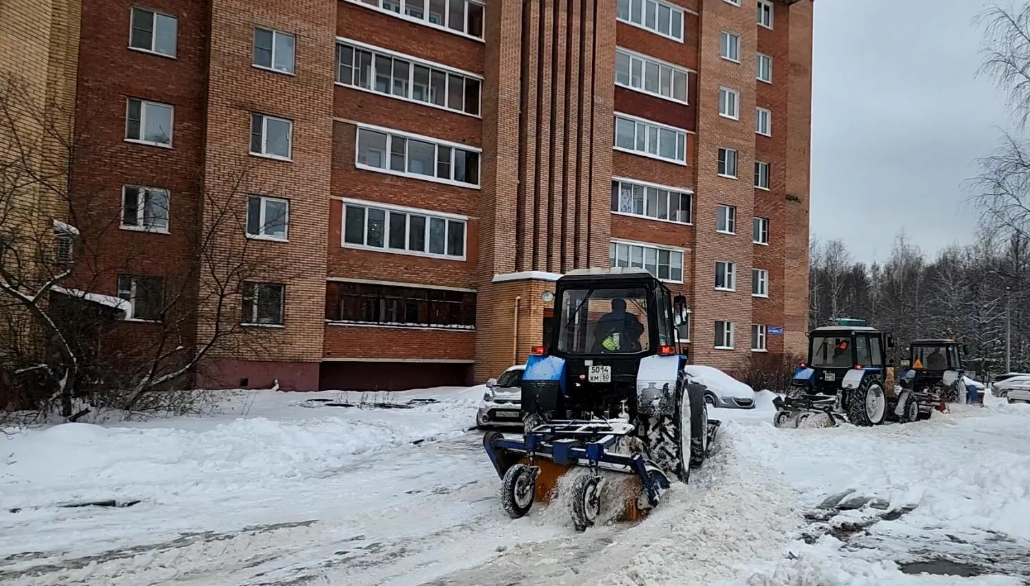 Фото: Нина Басистая