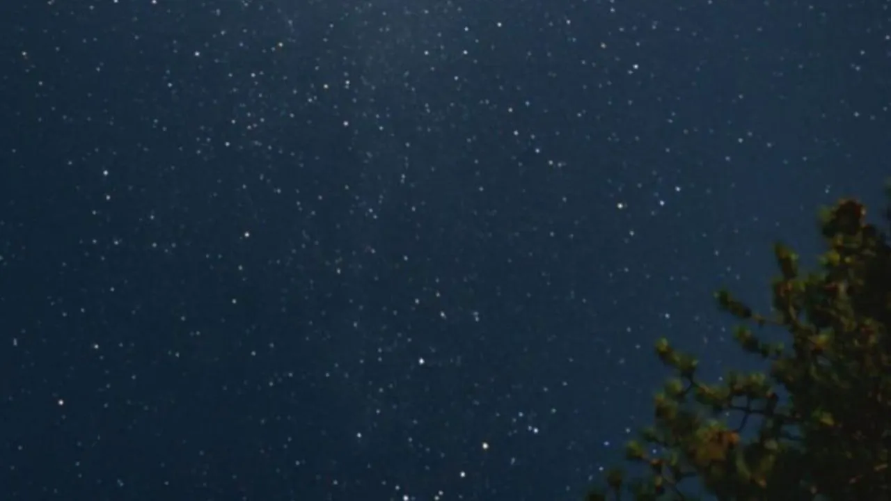 Фото: REGIONS/Анастасия Широкая