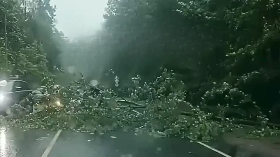 Фото: t.me/odi_city