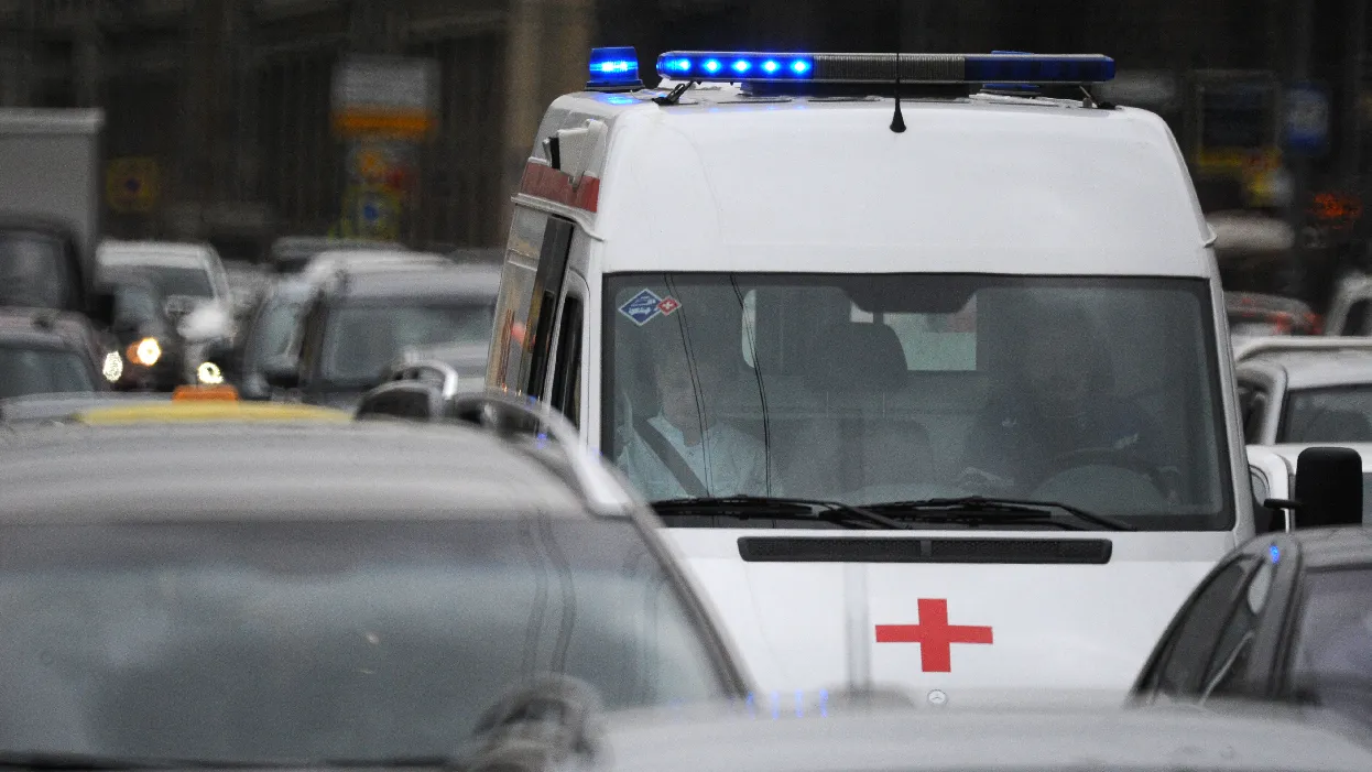 Фото: Медиаархив Подмосковья