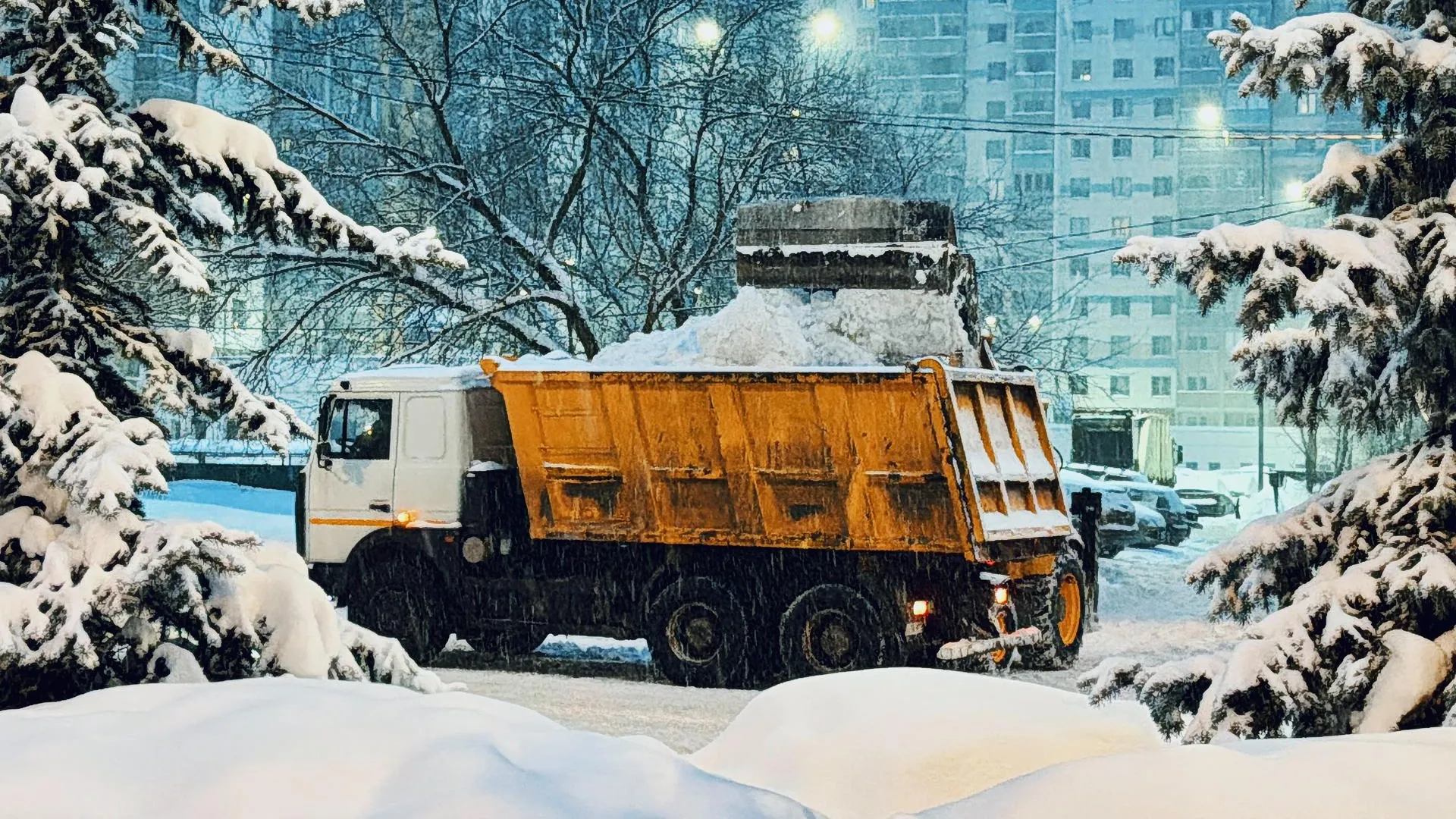 Ольга Стаферова