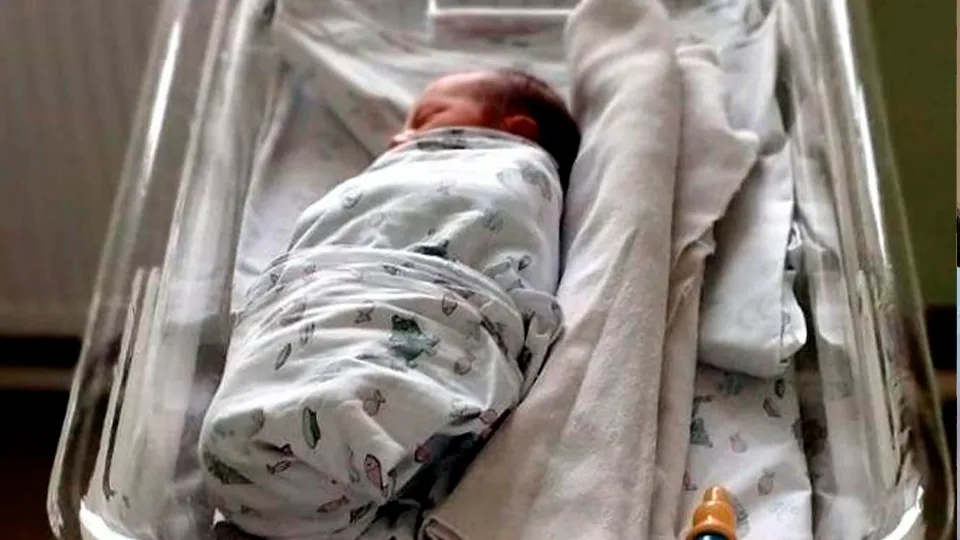 Фото: Министерство социального развития Московской области