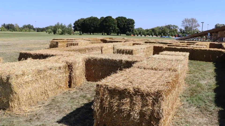 Фото: Ирина Матвеева