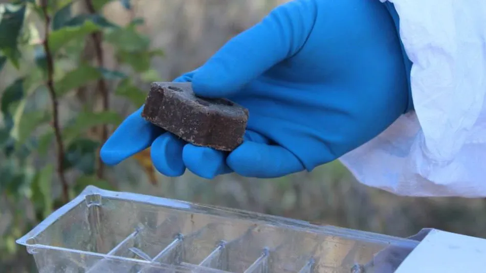 Фото: пресс-служба Министерство сельского хозяйства и продовольствия Московской области