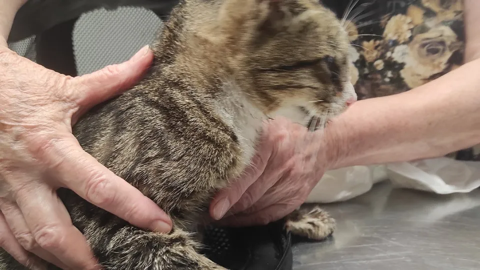 Фото: Анна Ключина