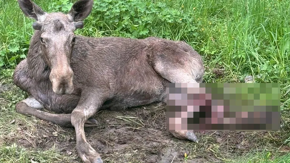 Фото: REGIONS/Екатерина Морозова