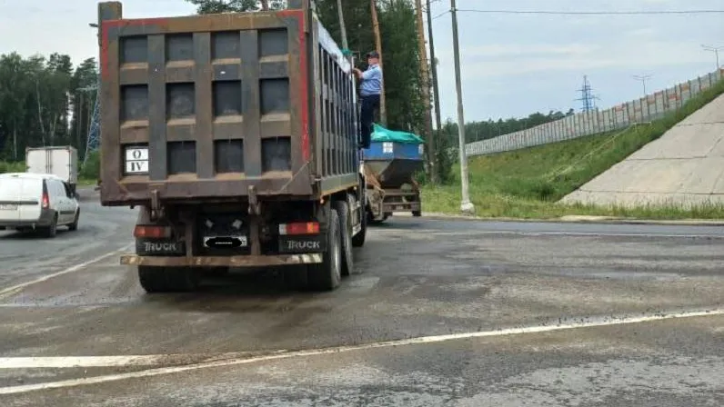Фото: Министерство экологии и природопользования Московской области