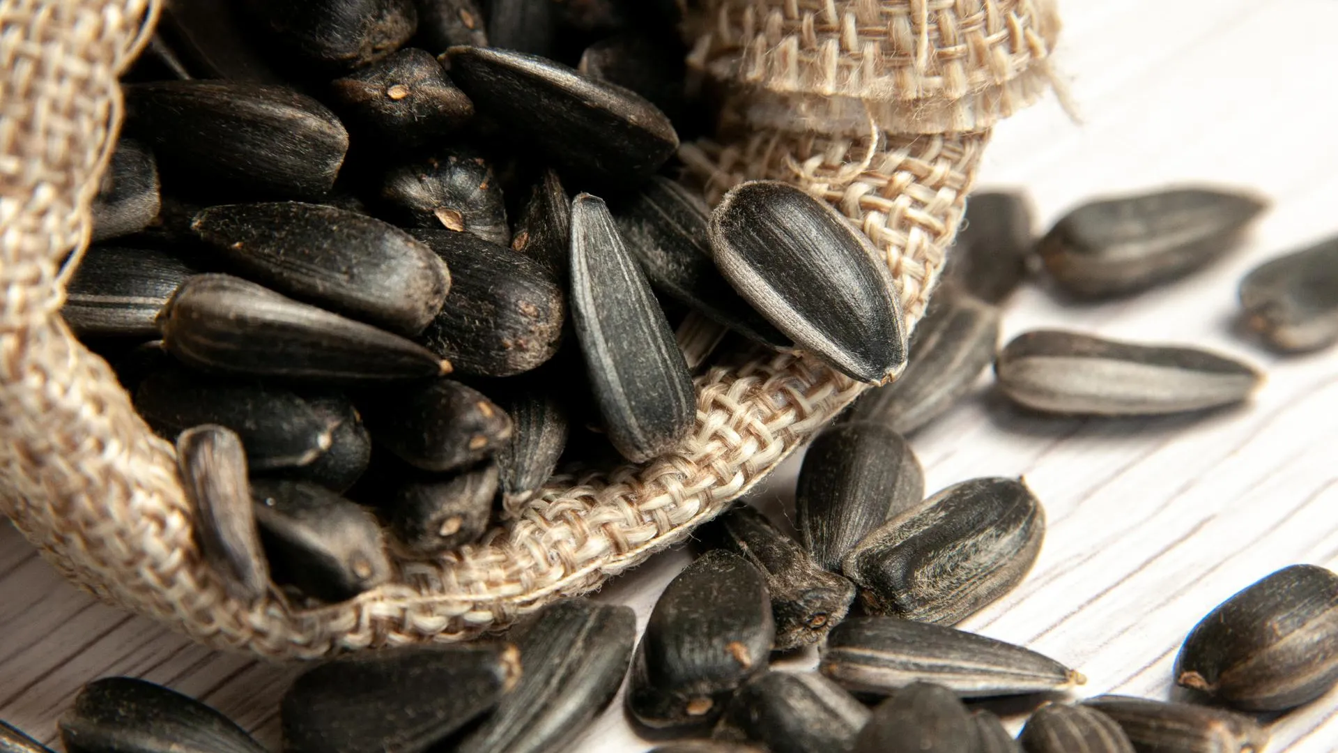 Фото: Камран Айдинов/freepik.com