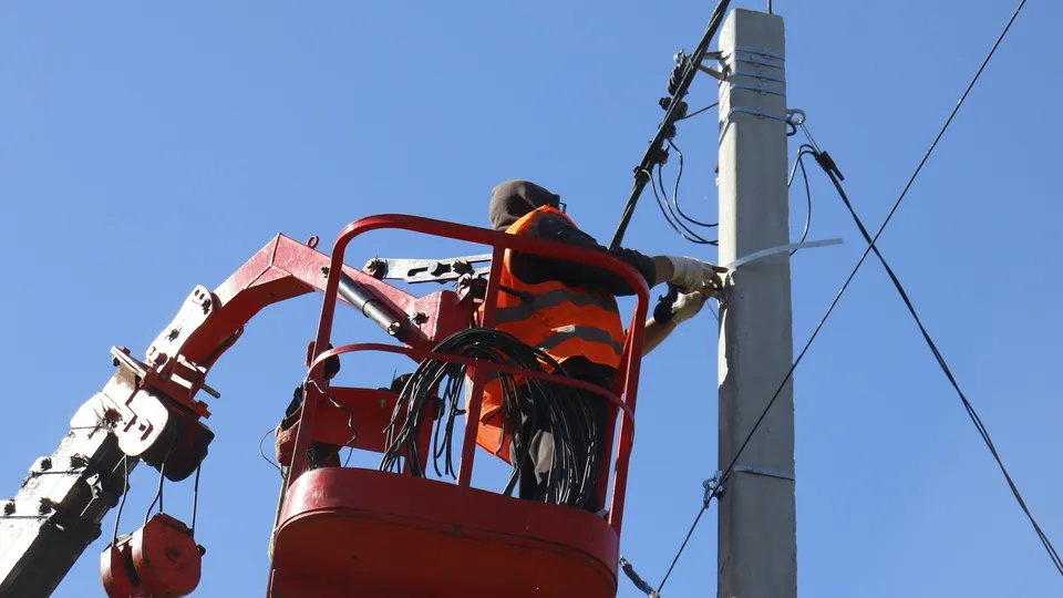Фото: Медиабанк Подмосковья/Татьяна Кострикина