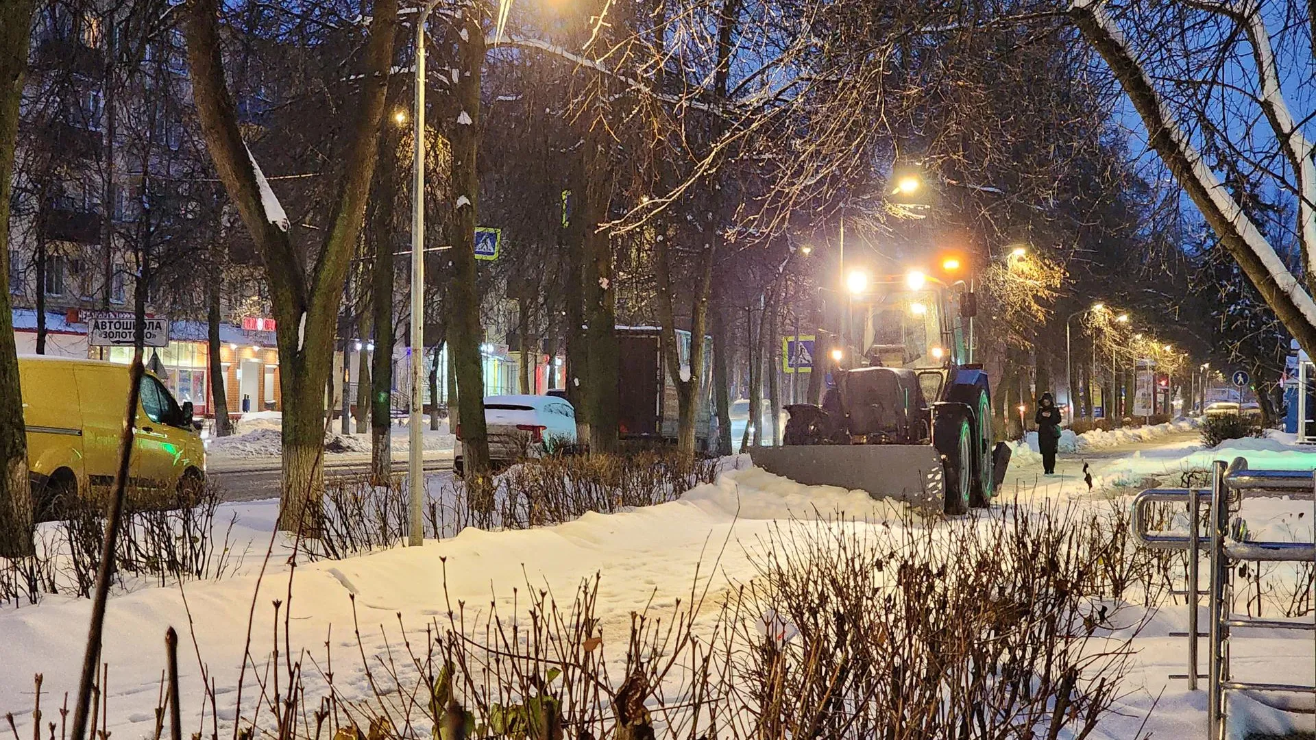 Светлана Плотникова