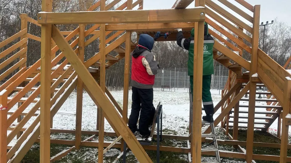 Фото: МедиаБанк Подмосковья/Эдуард Стратонов