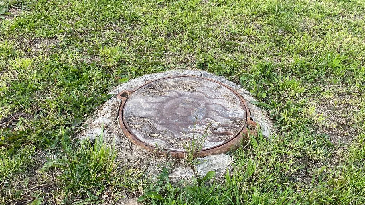 Фото: МедиаБанк Подмосковья/Дарья Соколова