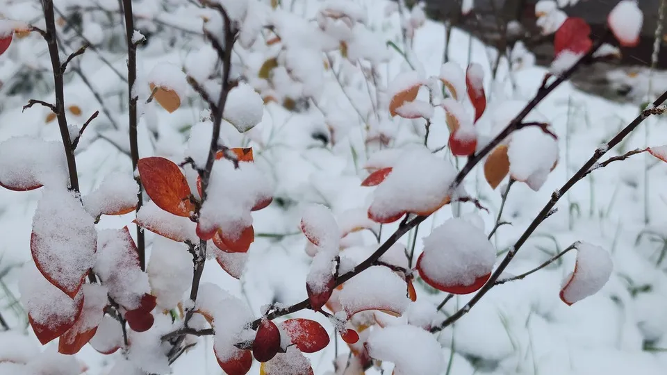 Фото: МедиаБанк Подмосковья/Иван Чижов
