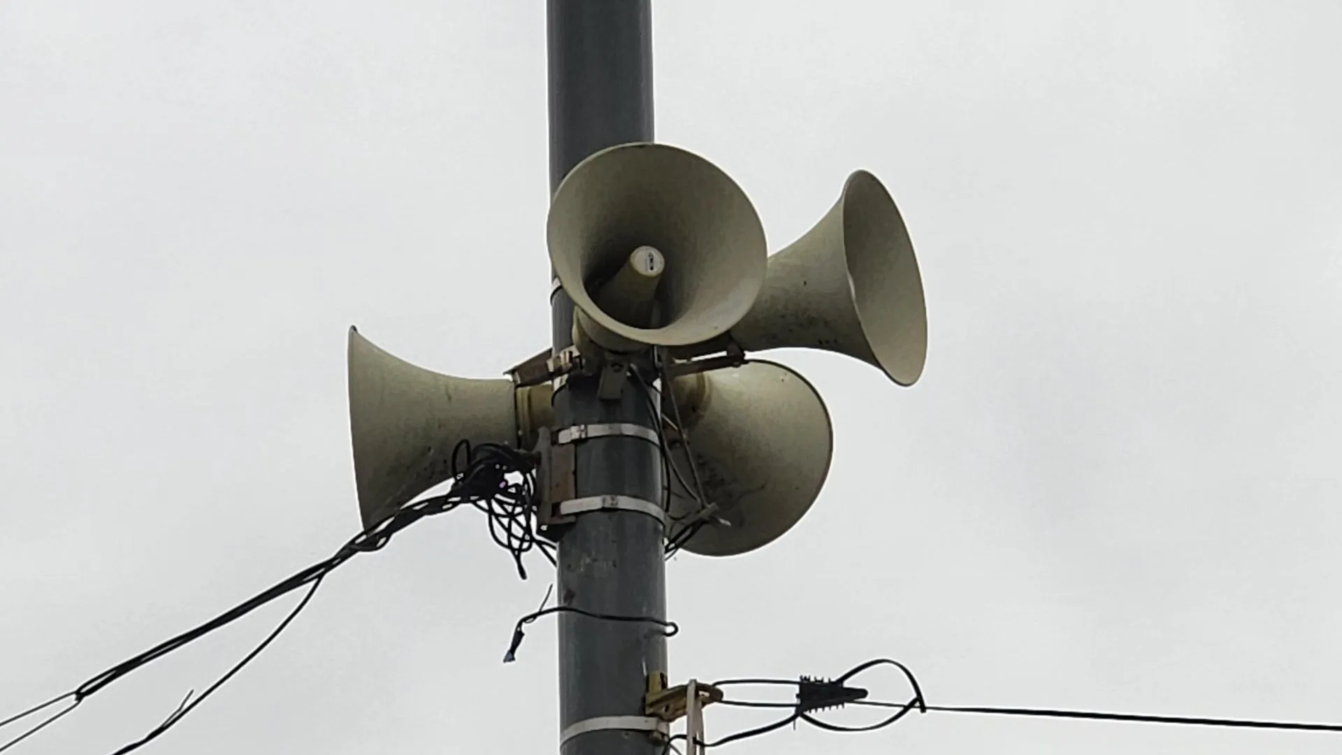 Дмитрий Павлов