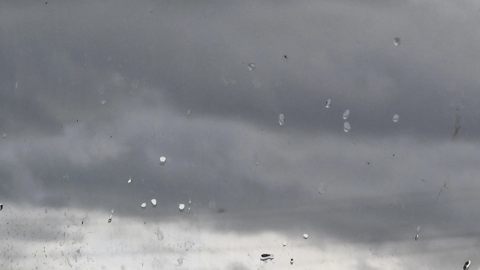 Фото: REGIONS/Наталия Надточая