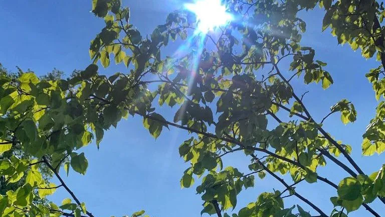 Фото: REGIONS/Татьяна Кордюкова