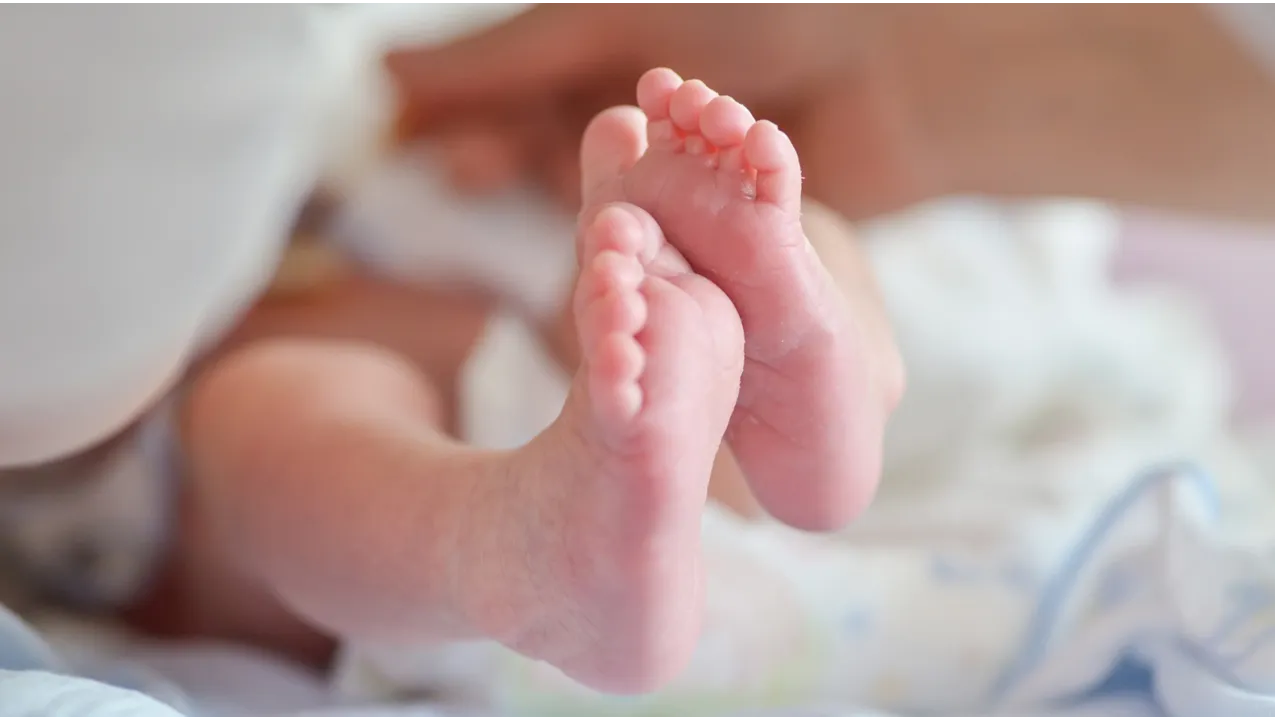 Фото: freepik.com/onlyyouqj