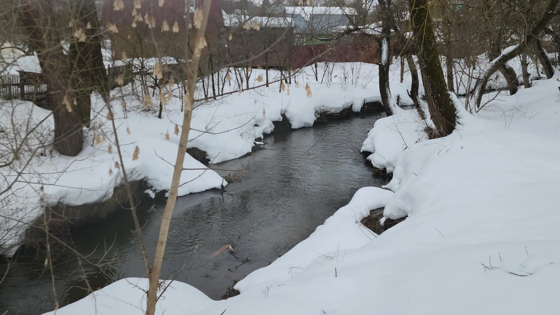 МедиаБанк Подмосковья/Екатерина Морозова