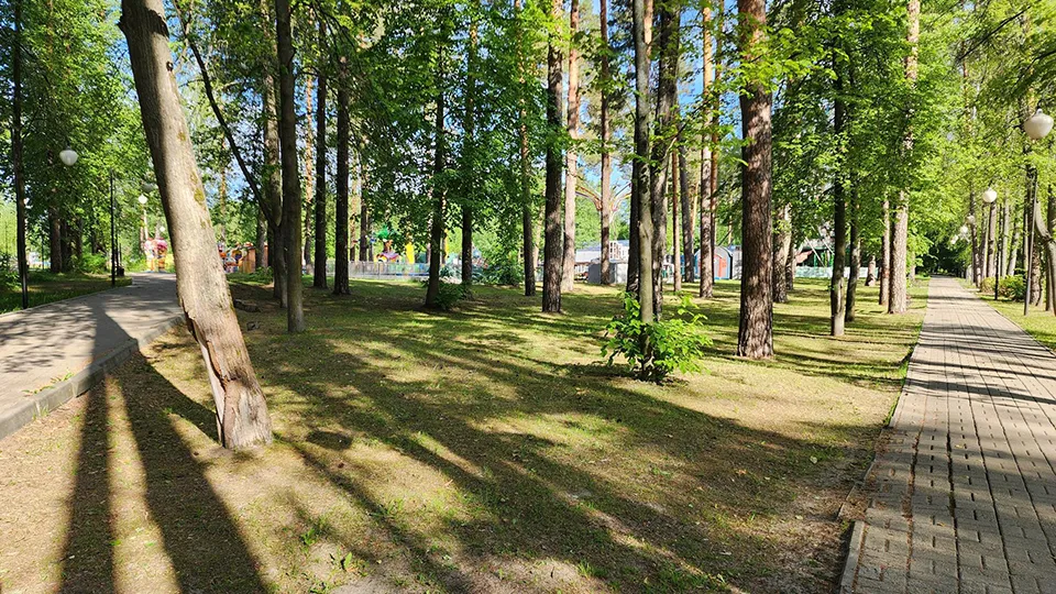 Фото: МедиаБанк Подмосковья/Вера Коренева