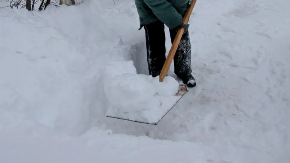 Фото: медиасток.рф