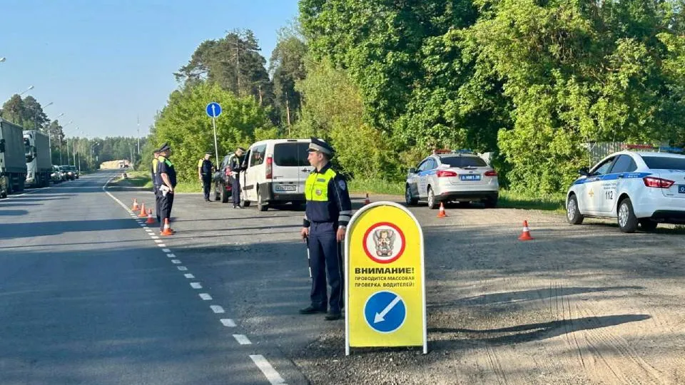 Фото: Госавтоинспекция по Орехово-Зуевскому округу