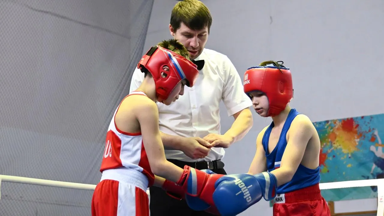 РОО «Можайская федерация бокса»