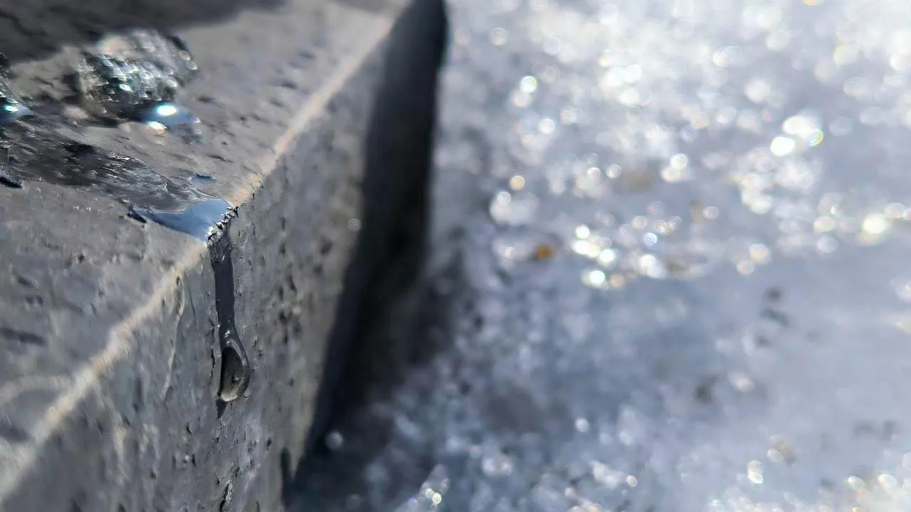 REGIONS/Роман Малышенко