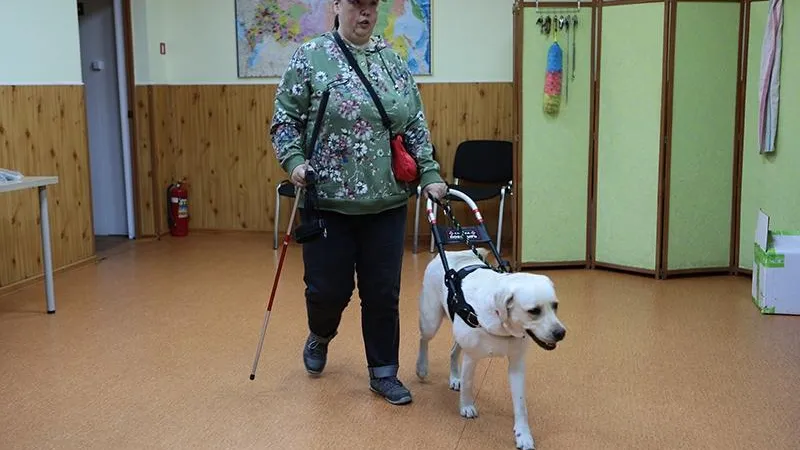 Как в Подмосковье воспитывают собак-поводырей для незрячих людей