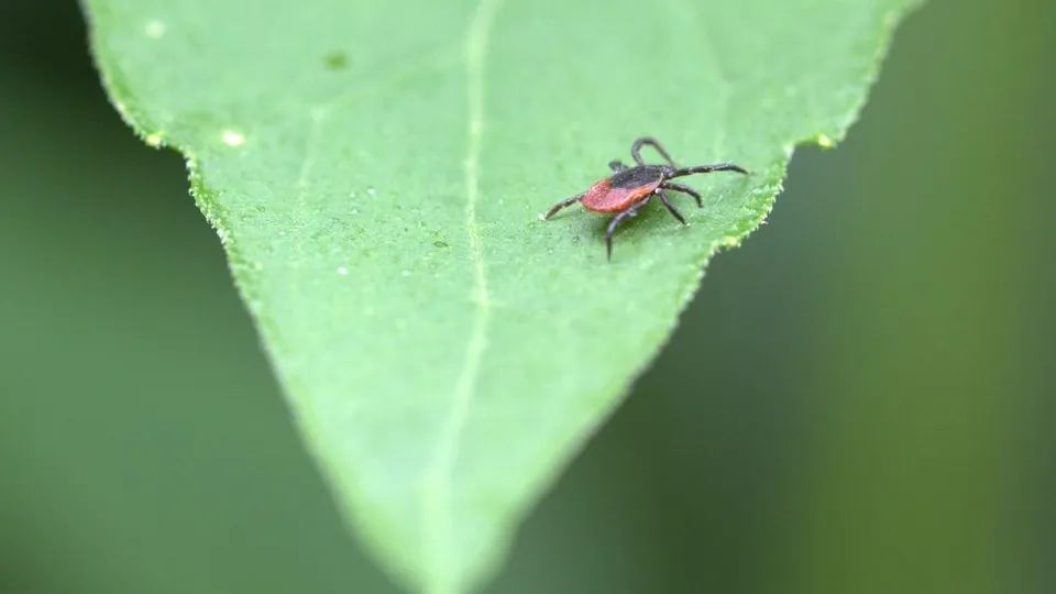 Photo by form PxHere