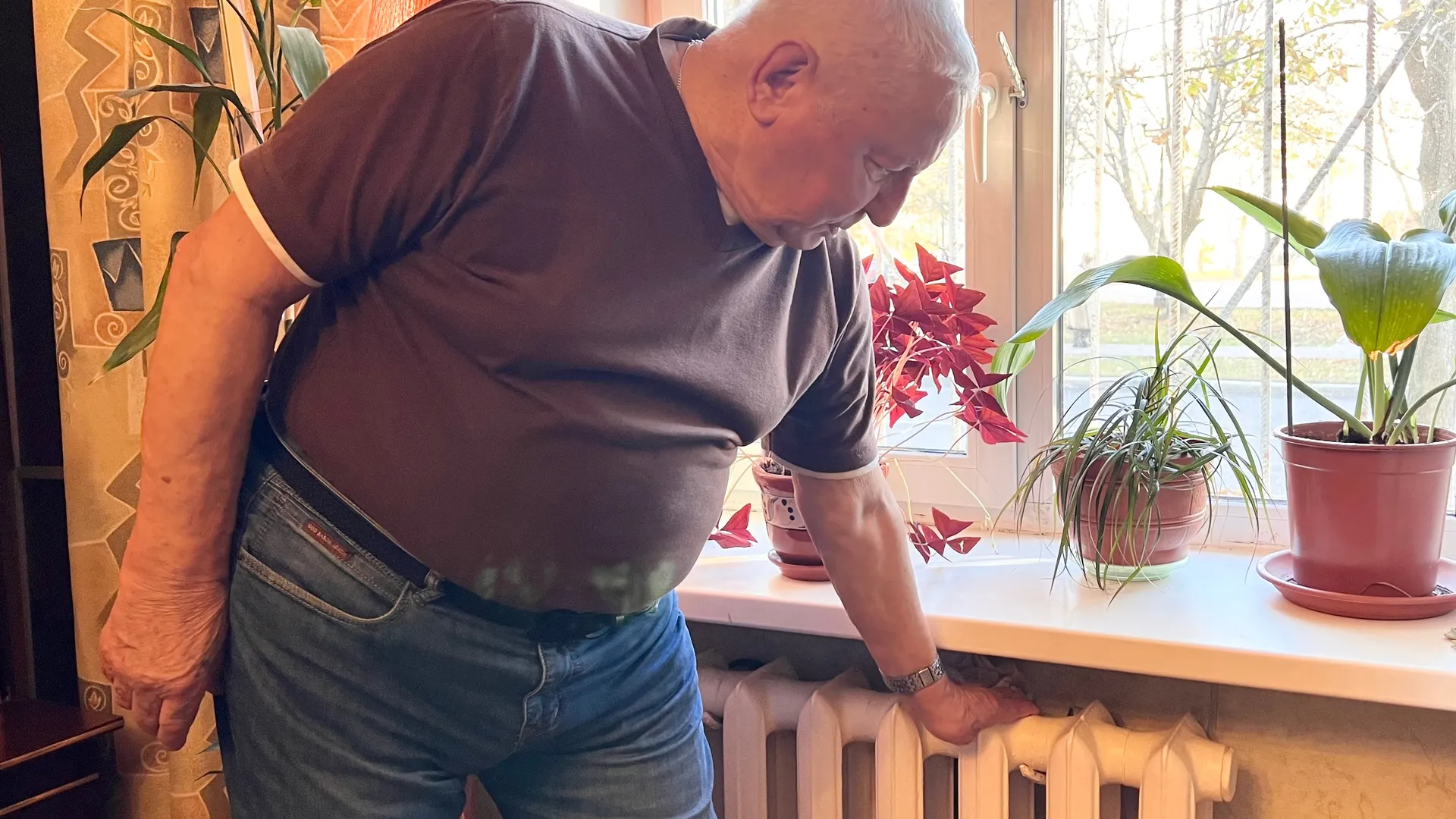 Фото: МедиаБанк Подмосковья/Ирина Мальцева