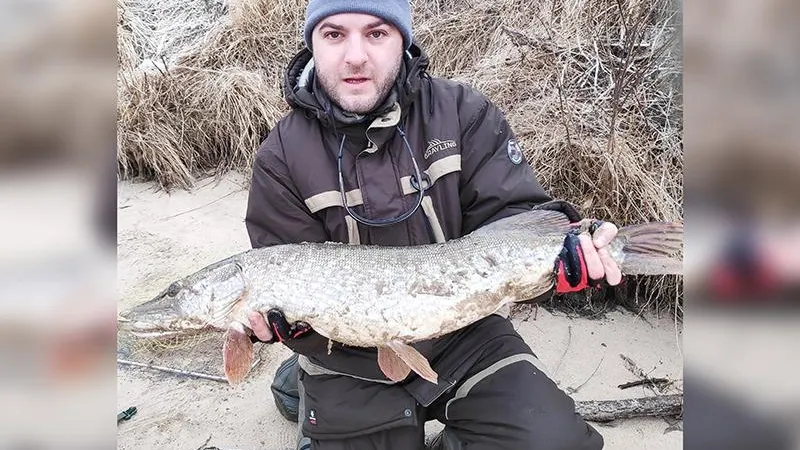 Щуку-гиганта поймал рыбак из Электростали
