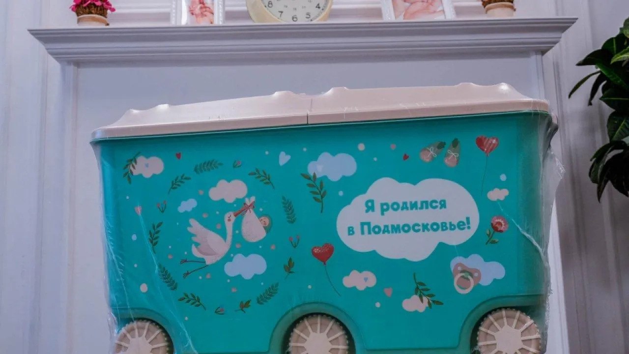 пресс-служба губернатора и правительства Московской области/Александра Степанова