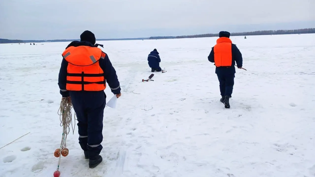 Фото: пресс-служба ГКУ МО «Мособлпожспас»