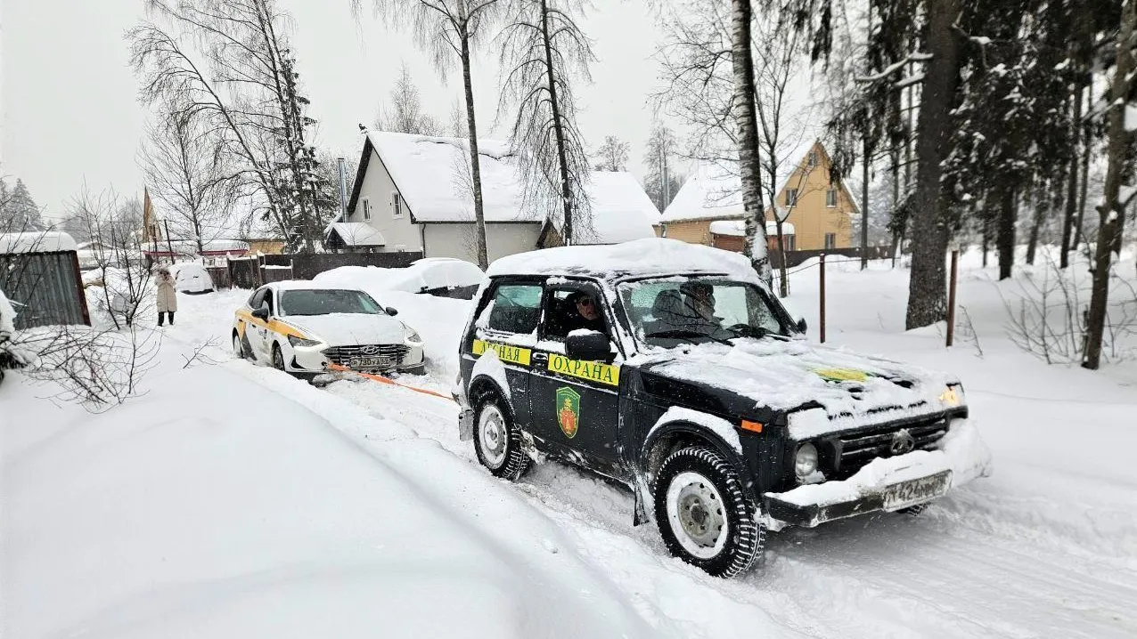 Комитет лесного хозяйства Московской области