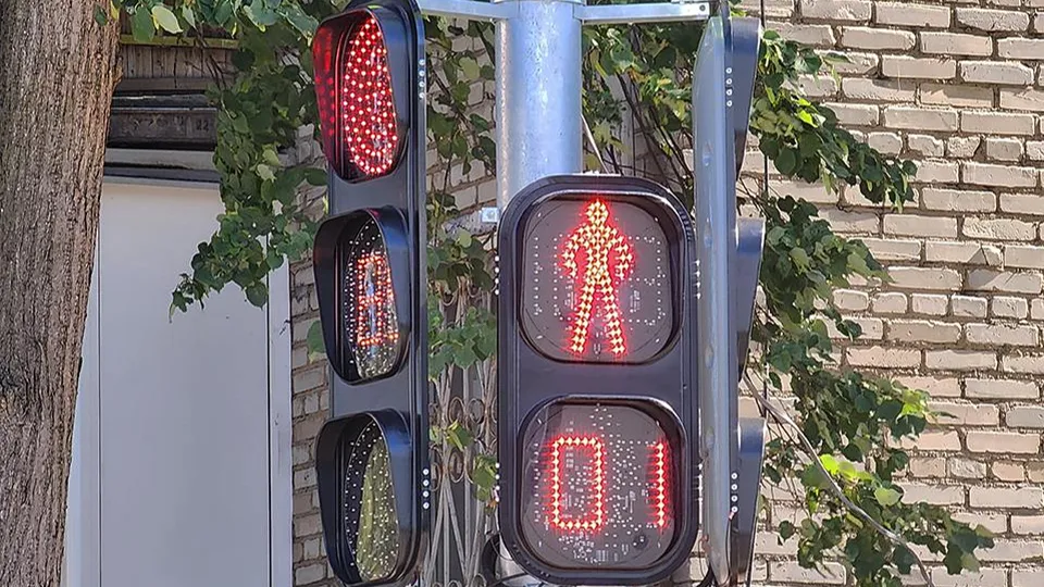 Фото: МедиаБанк Подмосковья/Роман Савельев