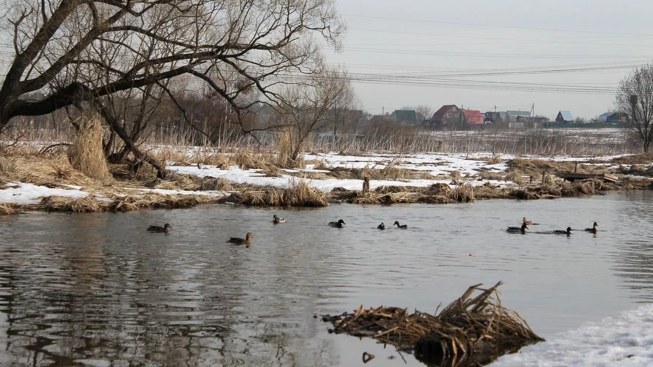 медиасток.рф