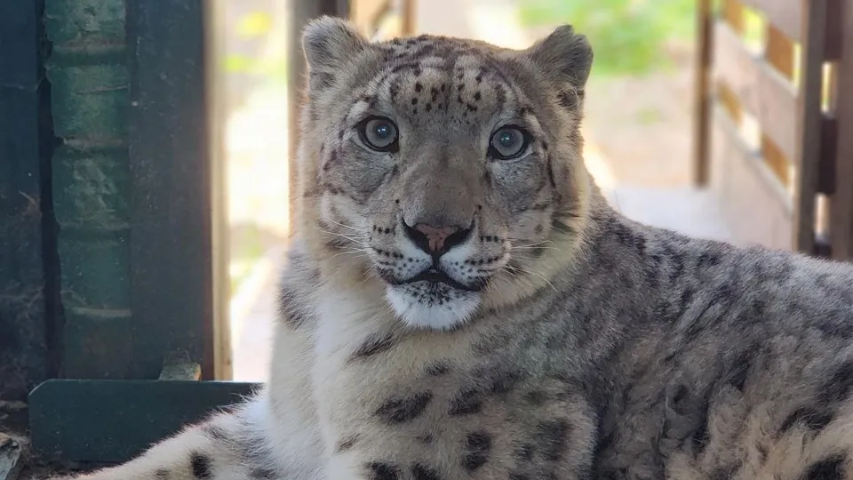 Фото: Дмитрий Беденко