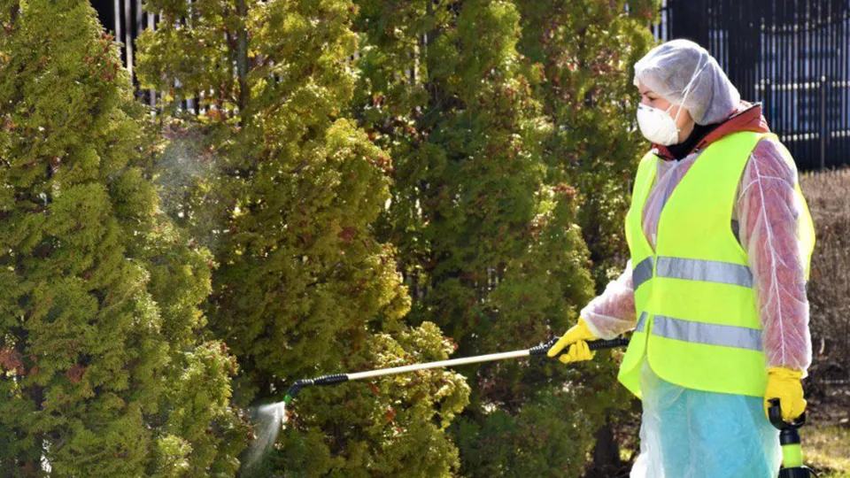 Фото: министерство благоустройства Московской области