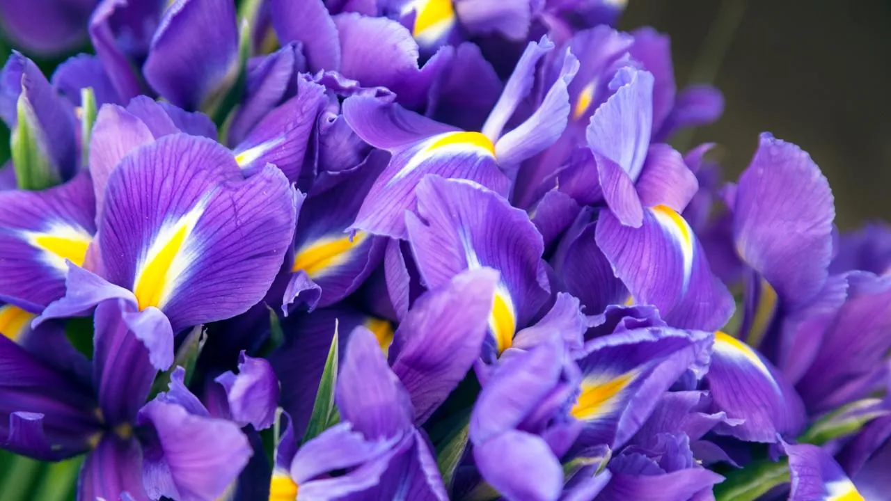 istockphoto.com/Maica