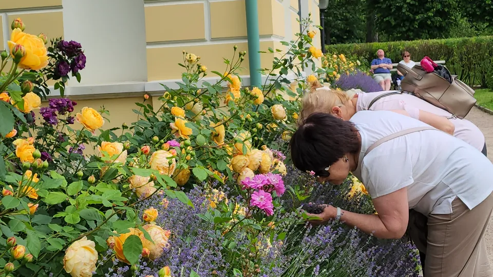 Фото: МедиаБанк Подмосковья/Артем Мишуков