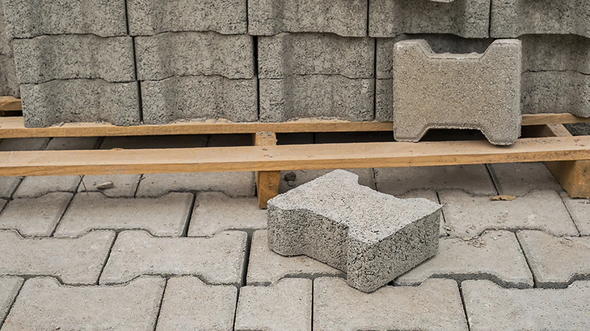 Фото: freepik.com