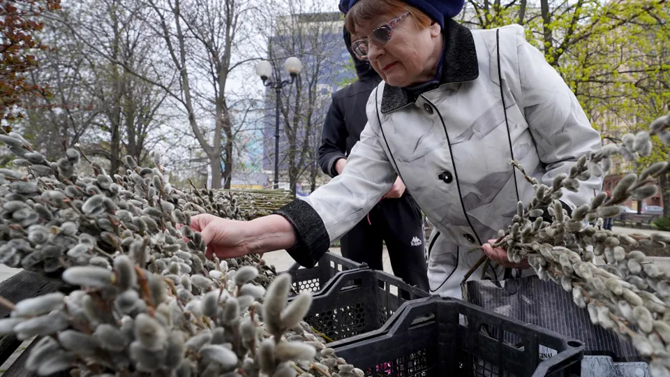 Фото: ТАСС/Николай Тришин