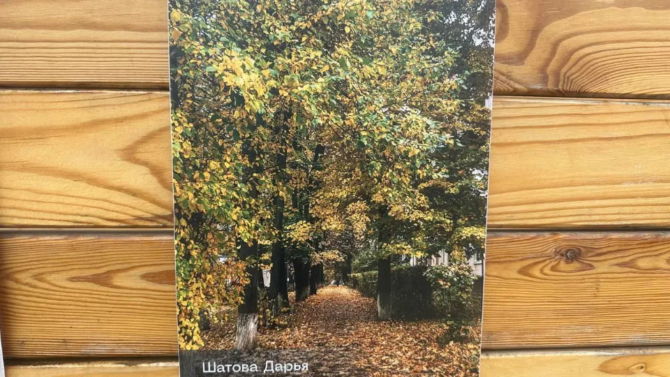 Фото: МедиаБанк Подмосковья/Эдуард Стратонов